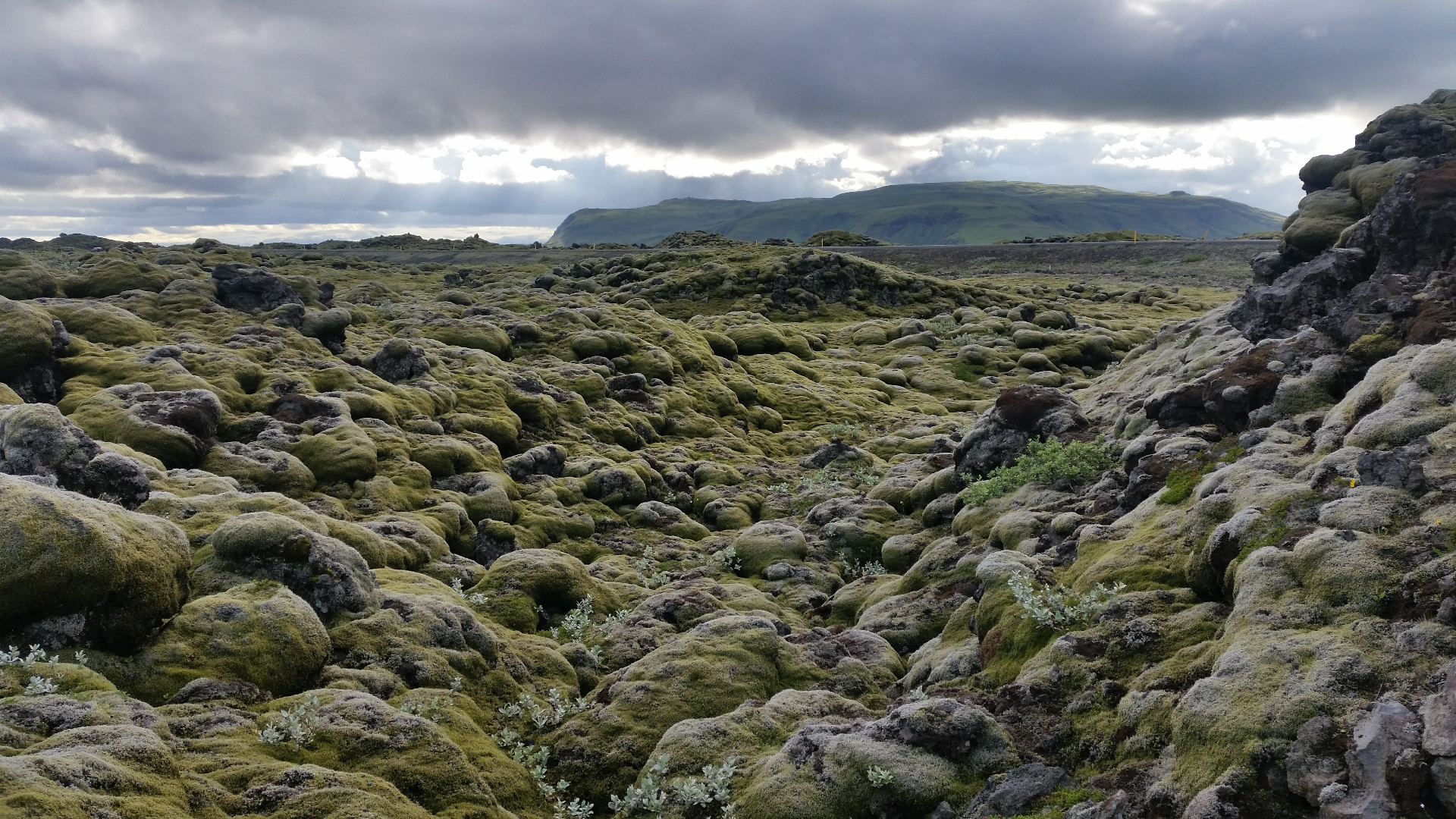 Moss-covered lava fields under a cloudy Icelandic sky